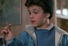 Viceversa (1988) Película en Español FULLTV