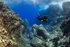 Escena de Vida no azul