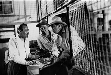 Escena de Soplo salvaje