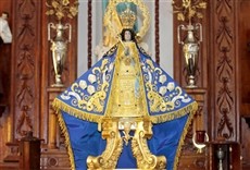 Televisión Virgen de Zapopan