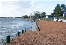 Escena de Vivi Corrientes