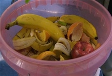 Escena de Wasted! The Story of Food Waste