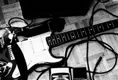 Escena de Wild America