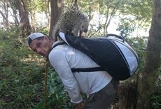 Escena de Wild Frank