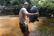 Escena de Wild Frank: Ante los ojos del león