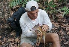 Escena de Wild Frank: En busca del dragón