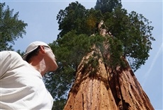 Escena de Wild Frank en California