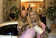 Escena de ¿Y dónde están las rubias?