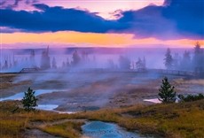 Escena de Yellowstone Live