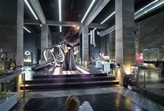 Escena de Yo, Frankenstein