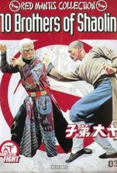 Ver película 10 Brothers of Shaolin