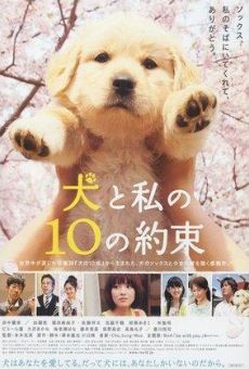 Inu to watashi no 10 no yakusoku on-line gratuito