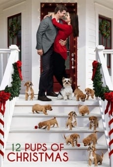 12 Pups of Christmas on-line gratuito