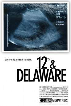 12th & Delaware online streaming