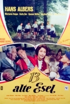 13 kleine Esel und der Sonnenhof online streaming