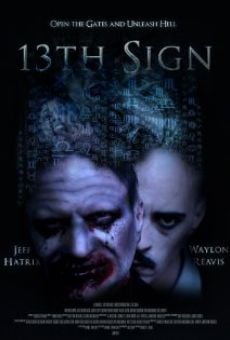 Ver película 13th Sign