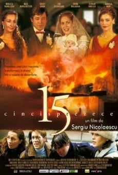 Ver película 15