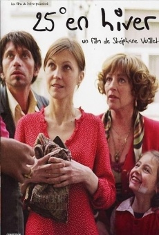 25 degrés en hiver online streaming