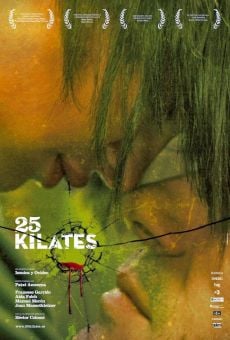 25 kilates (25 quirats)