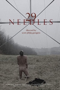 29 Needles