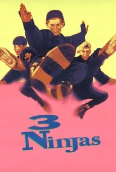 3 pequeños ninjas, película completa en español