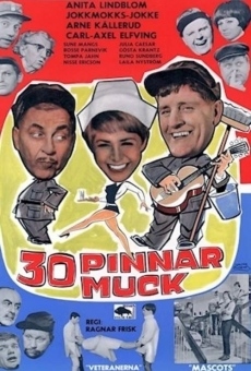 Ver película 30 pinnar muck