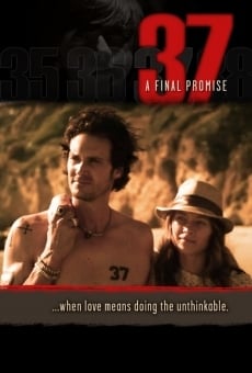 37 online streaming