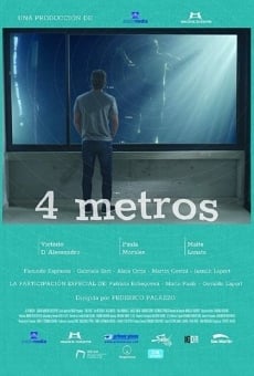 4 metros