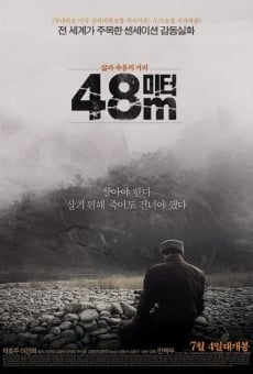 48M (2013)