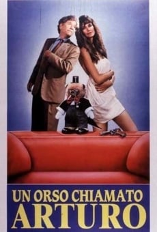 Un orso chiamato Arturo streaming en ligne gratuit