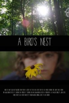 A Bird's Nest online