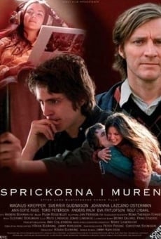 Sprickorna i muren