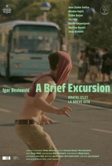 Ver película A Brief Excursion