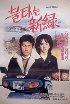 Bultaneun shinrok online streaming