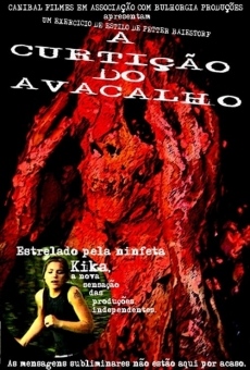 A Curtição do Avacalho streaming en ligne gratuit