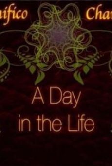 A Day in the Life of a Professional Wrestler en ligne gratuit