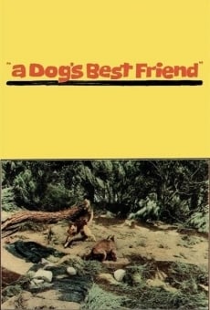 A Dog's Best Friend stream online deutsch