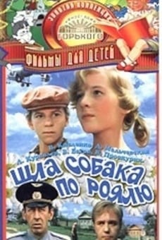 Película