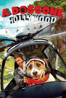 Ver película A Doggone Hollywood