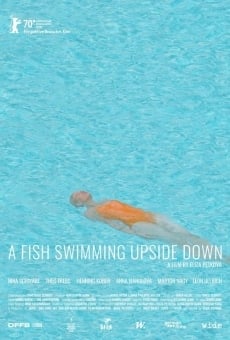 A Fish Swimming Upside Down online