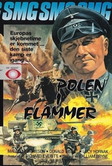 A Flame to the Phoenix online streaming