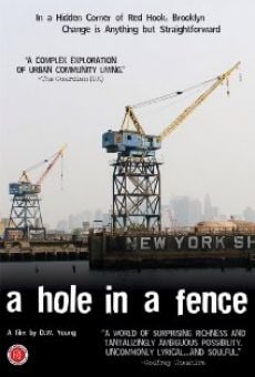 A Hole in a Fence online streaming