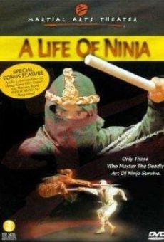 Ver película A Life of Ninja