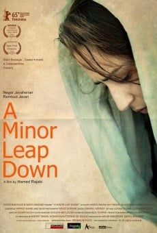 Ver película A Minor Leap Down