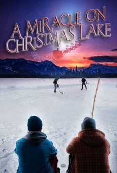 Ver película Un milagro en el lago de Navidad