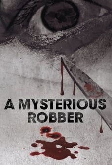 A Mysterious Robber