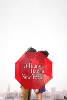 Un jour de pluie à New York
