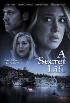 His Secret Family on-line gratuito