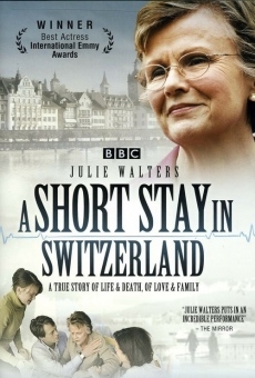 Ver película A Short Stay in Switzerland