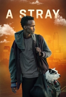A Stray online streaming